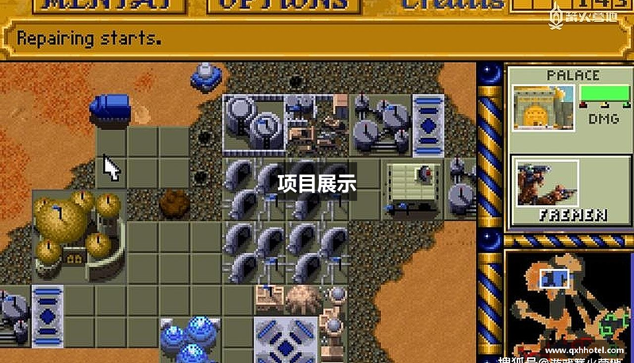 项目展示